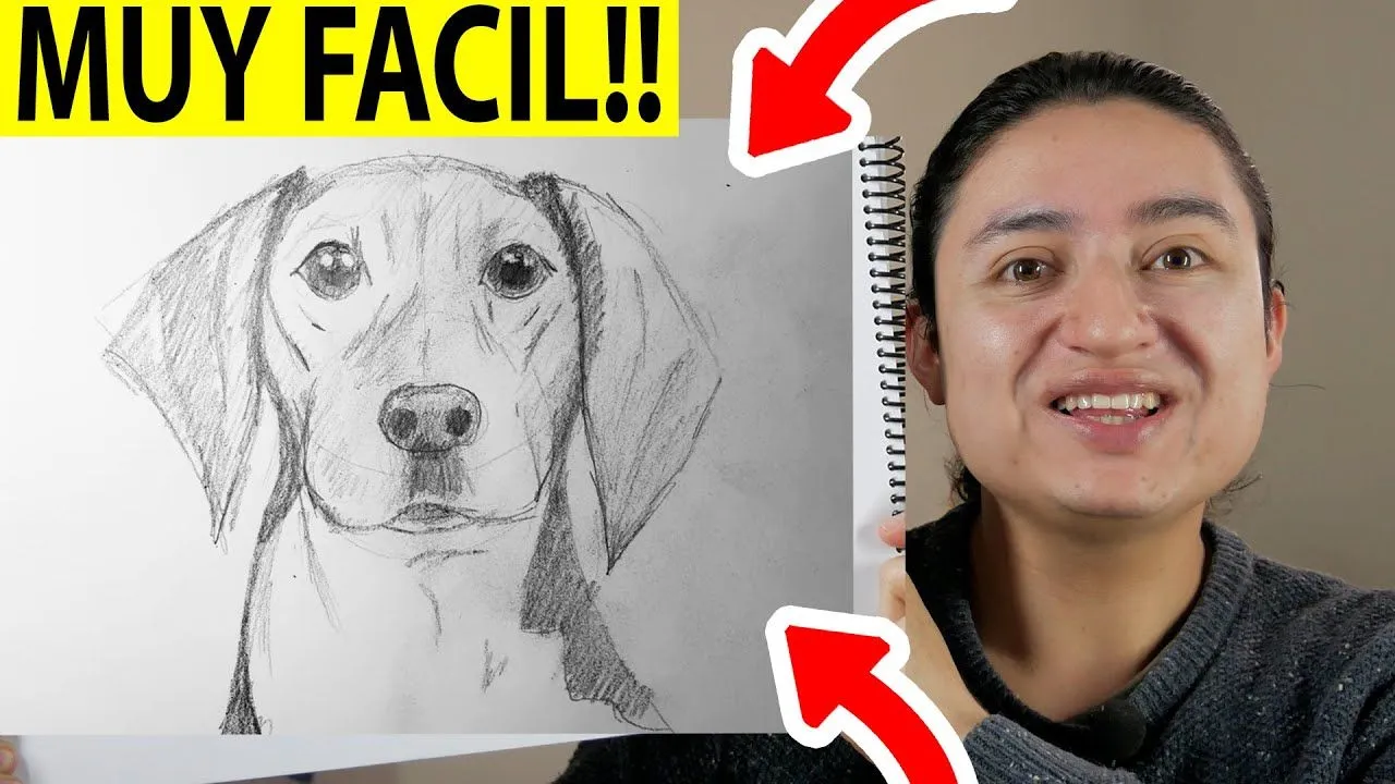 Como Dibujar un Perro paso a paso, How to draw a Dog. [El ... Como Dibujar un Perro paso a paso, How to draw a Dog. [El ...