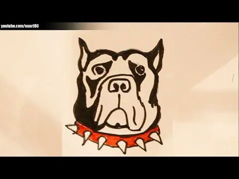 Como dibujar un perro pitbull paso a paso - YouTube