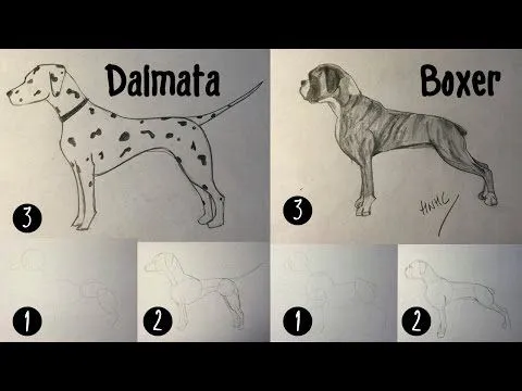Como dibujar un perro raza Pastor Alemá - Youtube Downloader mp3