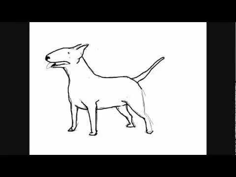 Dibujar perros: Perro Bull terrier - Dibujos para Pintar - YouTube