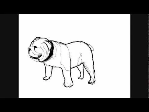 Dibujar perros: Perro Bulldog - Dibujos para Pintar - YouTube