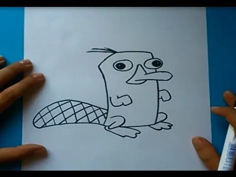 Como dibujar a Perry paso a paso - Phineas y Ferb | How to draw ...