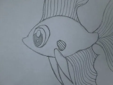 Cómo dibujar un pez beta - YouTube