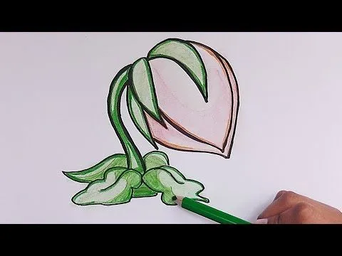 Dibujar y pintar Orchid Cactus (Plantas vs Zombies) - Dibujar y ...