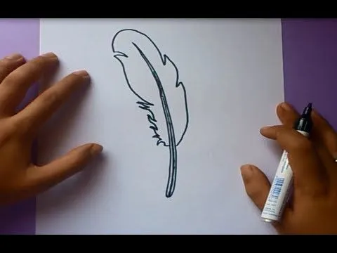 Como dibujar una pluma paso a paso | How to draw a feather - YouTube
