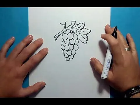 Como dibujar un racimo de uvas paso a paso 2 | How to draw a bunch ...