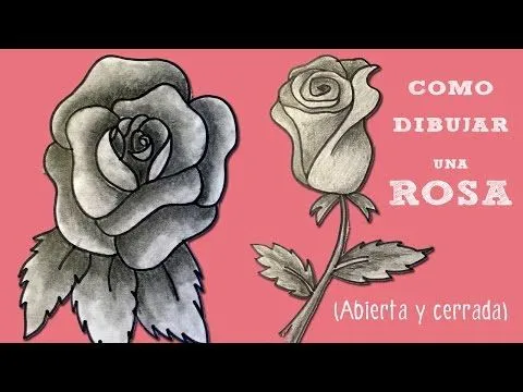 Cómo dibujar una rosa (abierta y cerrada) | ¡Hoy no hay cole!