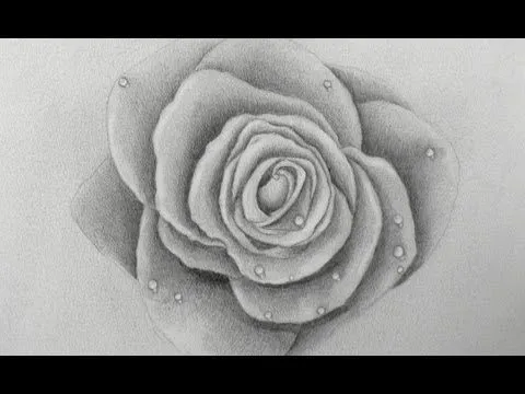 como dibujar una rosa ► HTML5 Video