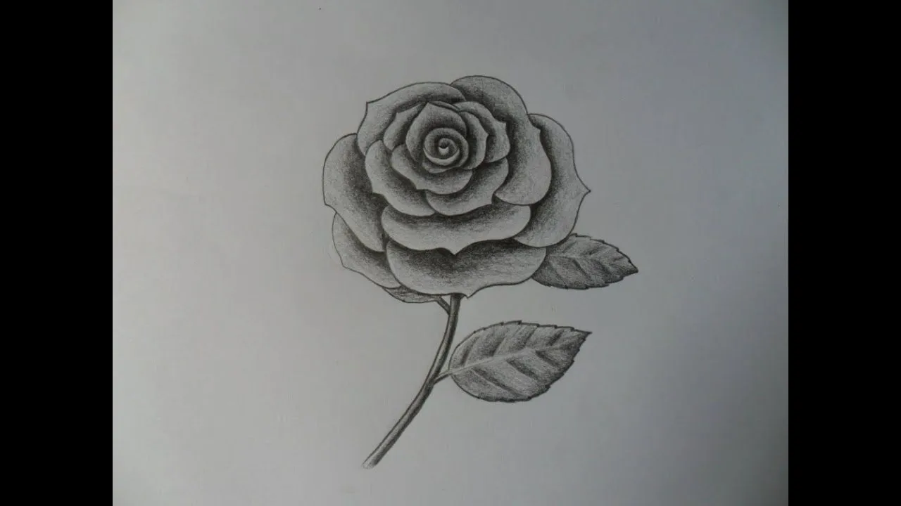 Como dibujar una Rosa, improvisándola. - YouTube Como dibujar una Rosa, improvisándola. - YouTube