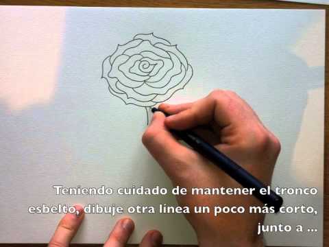 Cómo dibujar una Rosa - Paso a Paso - YouTube