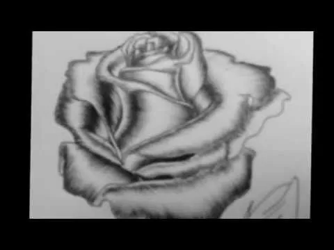 como dibujar una rosa - YouTube