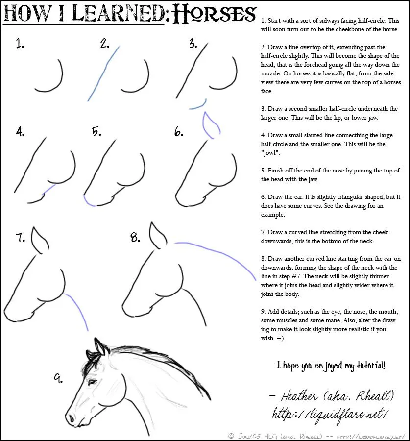 Como dibujar rostro caballo FACIL