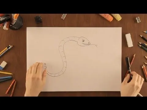 Cómo dibujar una serpiente : Dibujos de la Naturaleza - YouTube