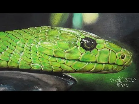 Como Dibujar una Serpiente Realista - YouTube