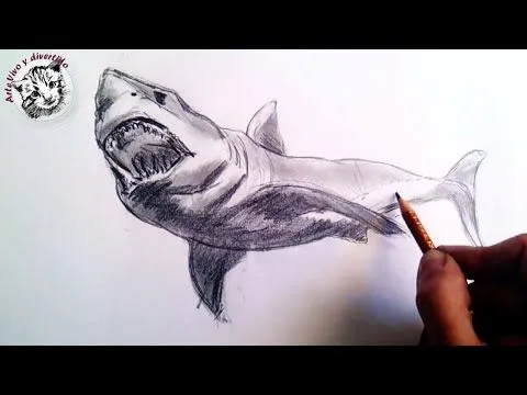 Como dibujar un tiburon a lapiz paso a paso: Tecnicas lápiz de ...