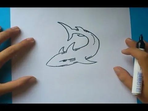 Como dibujar un tiburon paso a paso | How to draw a shark - YouTube