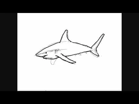 Dibujar tiburones - Dibujos para Pintar - YouTube