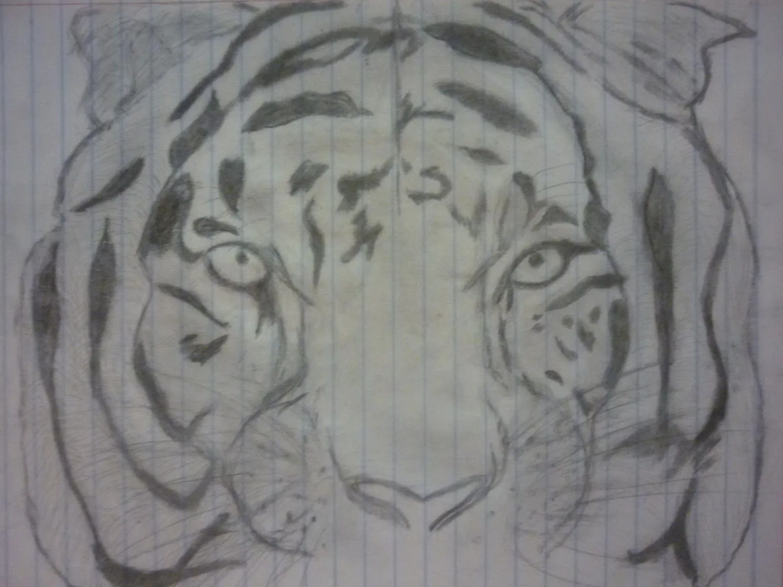tigre de bengala (dibujo a lapiz y a pastel) | plastilina