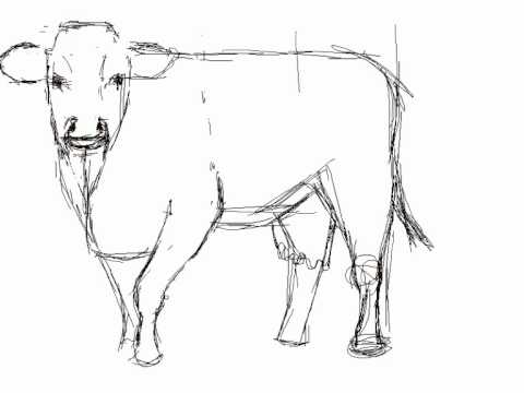 Cómo dibujar una vaca - How to draw a cow - YouTube