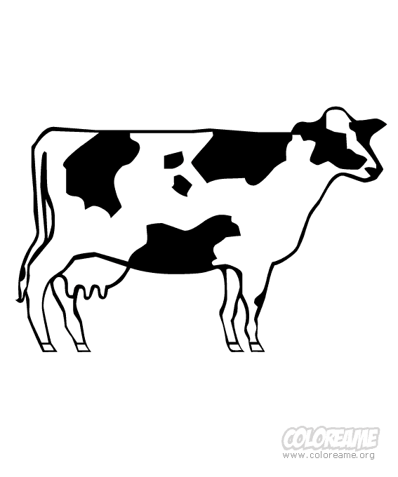 Dibujar vaca - Imagui
