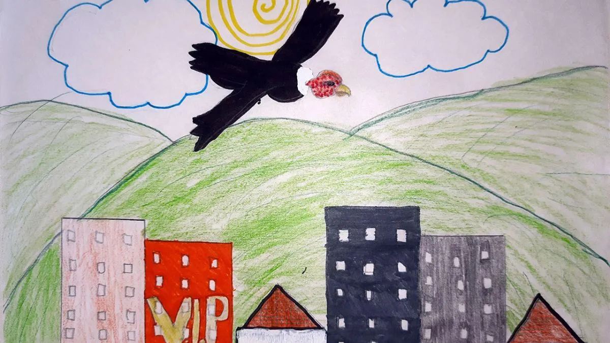 Así dibujaron los niños de Colombia sus paisajes | Señal Colombia