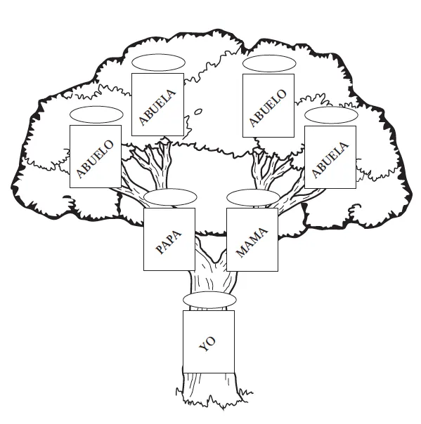 Modelo de arbol genealogico para imprimir gratis - Imagui