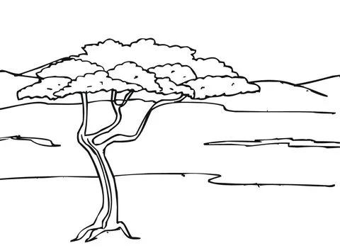 Dibujo de Acacia en la Sabana para colorear | Dibujos para ...