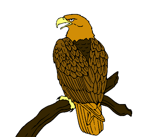 Dibujo de Águila en una rama pintado por Aguila en Dibujos.net el ...