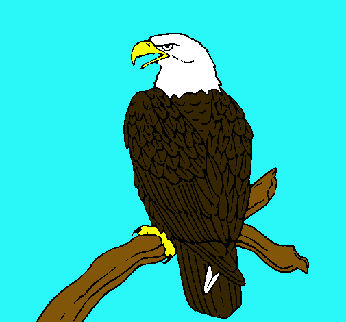 Dibujo de Águila en una rama pintado por Eagle en Dibujos.net el ...
