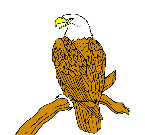 Dibujo de Águila en una rama pintado por Fhjjuytyiiu en Dibujos ...