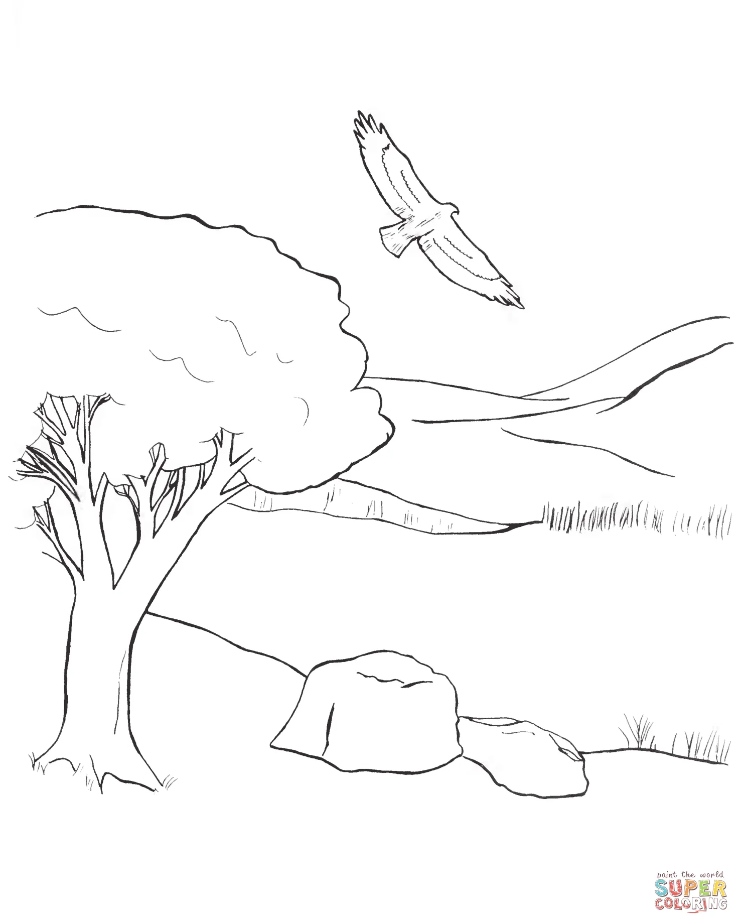 Dibujo de Águila volando sobre la llanura para colorear | Dibujos para  colorear imprimir gratis