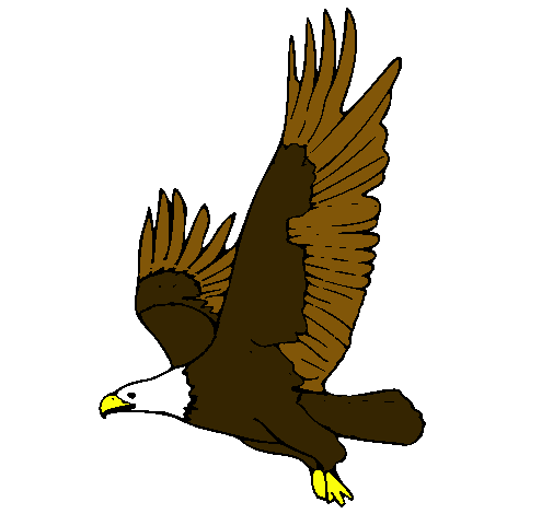 Dibujo de Águila volando pintado por Aguila en Dibujos.net el día ...