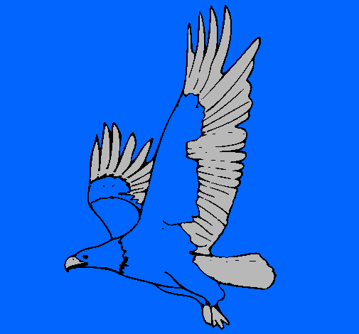 Dibujo de Águila volando pintado por America en Dibujos.net el día ...