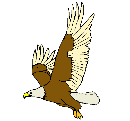 Dibujo de Águila volando pintado por Anemc en Dibujos.net el día ...