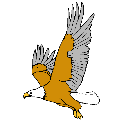 Dibujo de Águila volando pintado por Awsdhcgfvfth en Dibujos.net ...