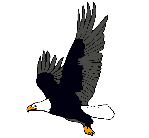 Dibujo de Águila volando pintado por Balta en Dibujos.net el día ...
