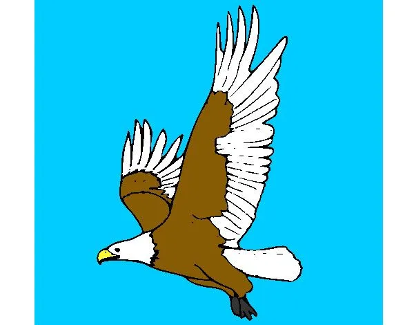 Dibujo de Águila volando pintado por Enriquez en Dibujos.net el ...