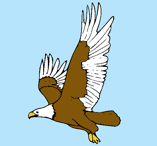 Dibujo de Águila volando pintado por Gatita en Dibujos.net el día ...