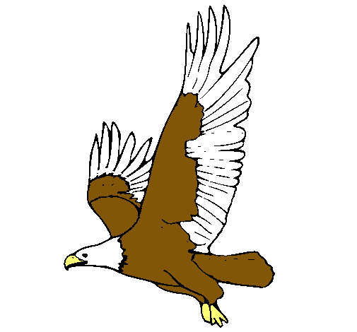 Dibujo de Águila volando pintado por Loqui en Dibujos.net el día ...