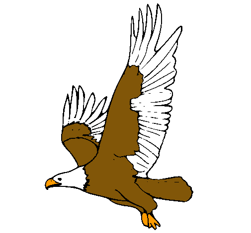 Dibujo de Águila volando pintado por Nmgchnmcgb en Dibujos.net el ...