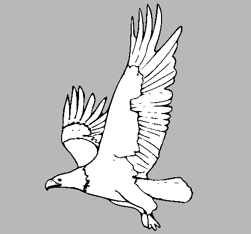 Dibujo de Águila volando pintado por Oscar456 en Dibujos.net el ...