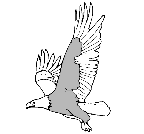 Dibujo de Águila volando pintado por Vicky1 en Dibujos.net el día ...