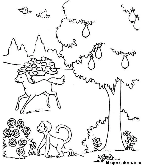 Dibujo de un bosque con animales - Imagui