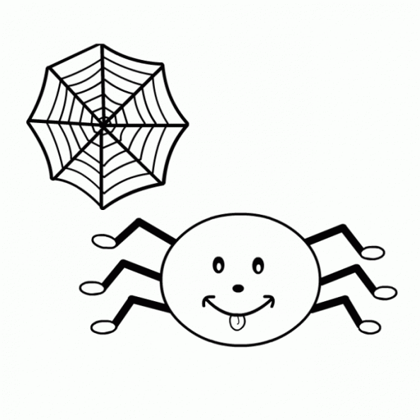 Arañas para niños - Imagui