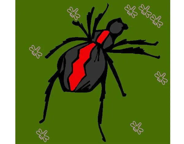 Dibujo de Araña viuda negra pintado por Erickpingu en Dibujos.net ...