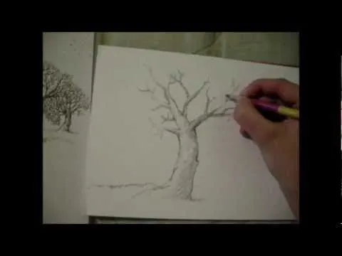 Dibujo arboles conceptuales - YouTube