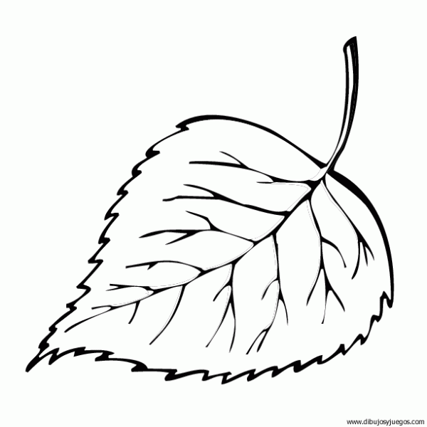 Dibujo de hojas para imprimir - Imagui