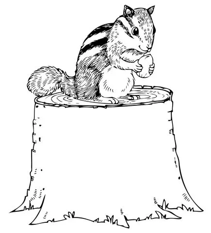 Dibujo de Ardilla Terrestre comiendo una bellota sobre un tronco ...