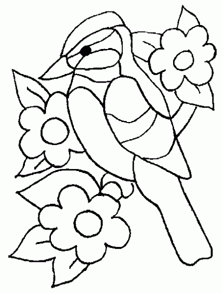 Dibujos para colorear del ave turpial - Imagui