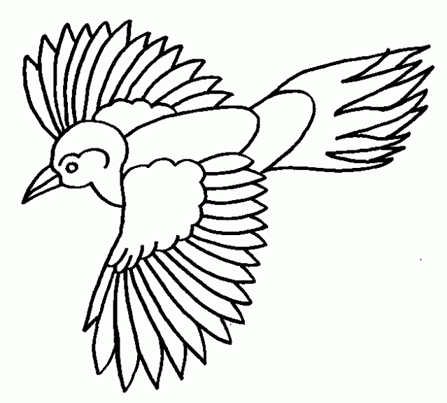 Aves dibujos - Imagui